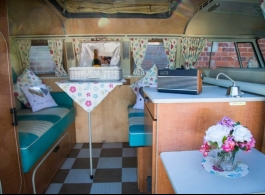 1967 VW Campervan for wedding hire in Petersfield