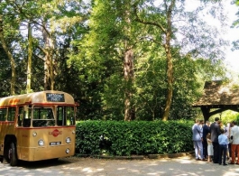 Single deck vintage bus for weddings in Sevenoaks