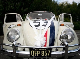 VW Herbie Beetle wedding car in Winchester